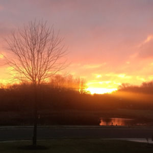 Meet your Posher, Maria